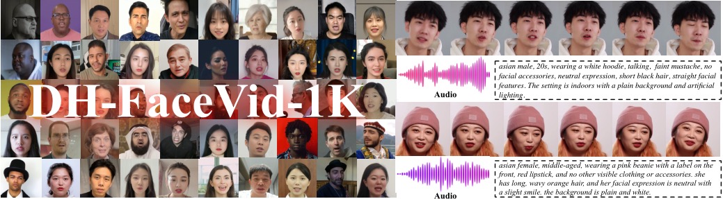 FaceVid-1K dataset overview